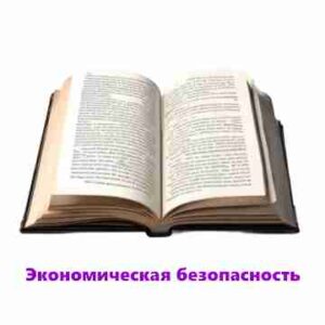 Курс «Экономическая безопасность»
